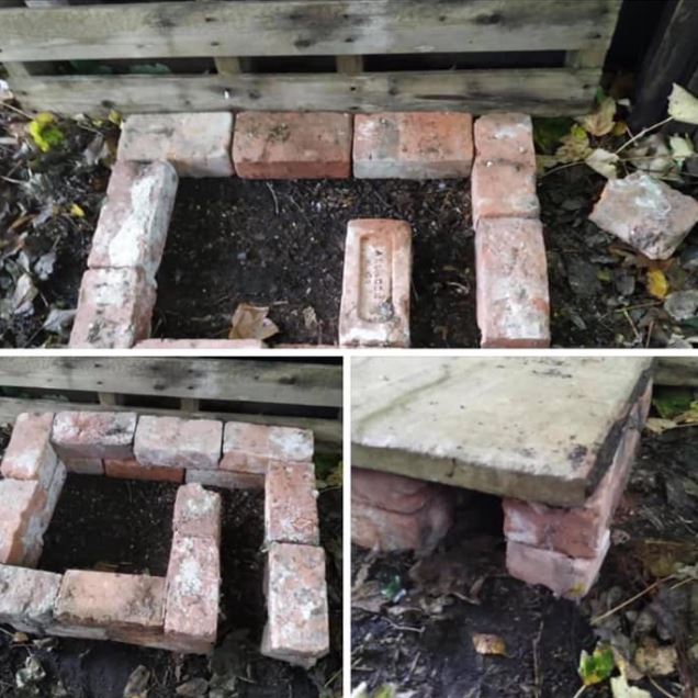 Hedgehog feeding station in a garden.