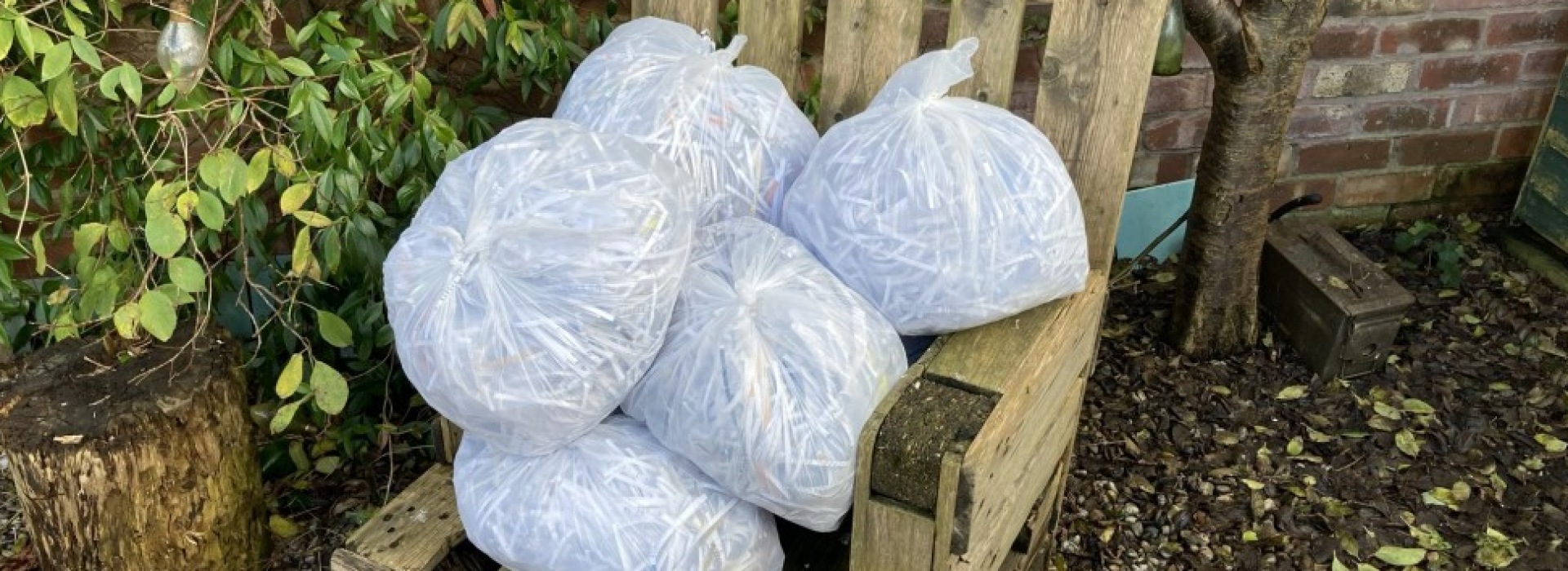 Shred, Save, Supply! Reusing Our Wastepaper for Hedgehogs Bedding Down for the Winter